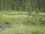 Sweden 2006-07 032